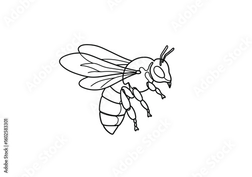 Bee drawing. It is a black and white outline image of a bee, depicting an insect, specifically a honeybee or pollinator, with wings and antennae. Vector sketch line art draw.