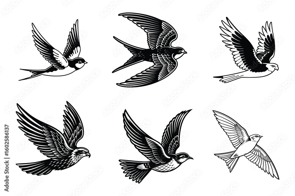 Obraz premium Birds svg