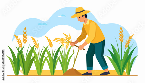 Illustration of a farmer in a yellow hat and shirt harvesting ripe golden rice in a field.