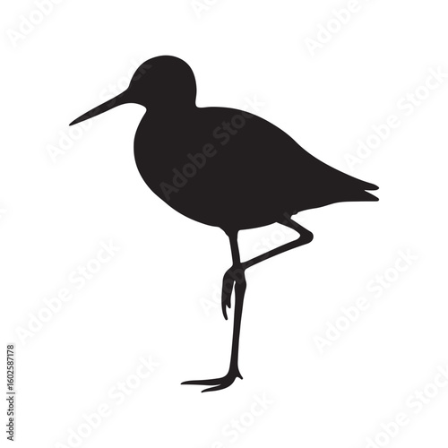 Black silhouette of a wading bird standing on one leg shorebird