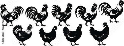 Rooster and hen silhouette set, farm poultry animal vector collection, chicken clipart icon bundle, cad drawing flat vector illustration