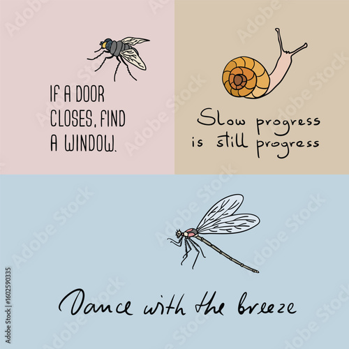 Uplifting Bug Illustrations with Fly, Snail and Dragonfly