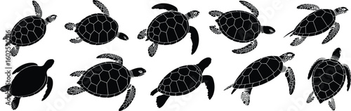 Sea turtle silhouette set, marine animal vector collection, ocean wildlife swimming icon bundle, cad drawing flat vector illustration