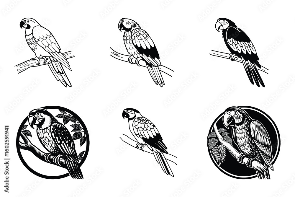 Fototapeta premium Birds svg