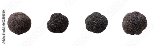 Four black truffles isolated on white. Gourmet fungi, expensive, delicacy, culinary, earthy, savory, gastronomy, cuisine, cooking, ingredient, luxury food.