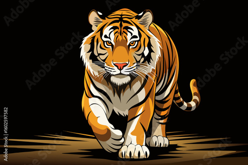 vector of Majestic tiger on black background: A mighty Siberian tiger strides confidently towards the camera, its stripes against a black background.
