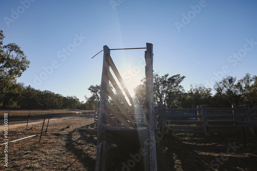Rustic cattle chute at sunrise on farm