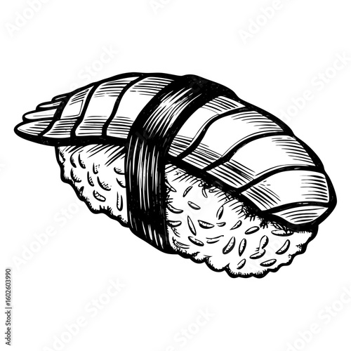 Hand-drawn nigiri-sushi-with-shrimp isolated on white background, simple line art illustration of a Japanese cuisine delicacy. Nigiri-sushi-with-shrimp in traditional style adds classic charm,