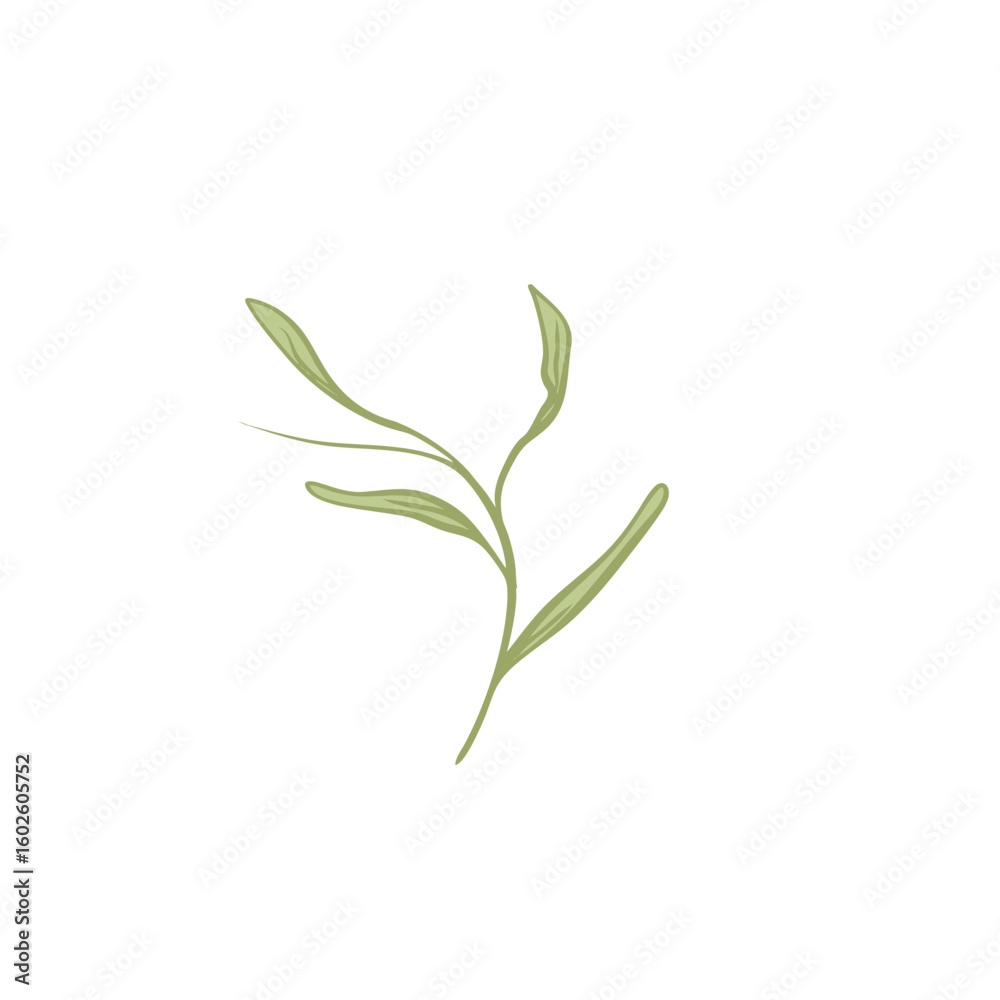 Fototapeta premium Delicate Green Sprig Illustration on White