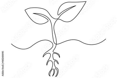 Continuous single line art of seed sprouting and plant growth stages minimalist botanical vector
