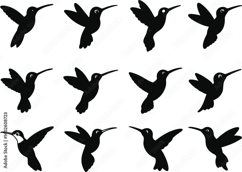 Obraz premium Collection of Hummingbird Silhouettes Vector Design