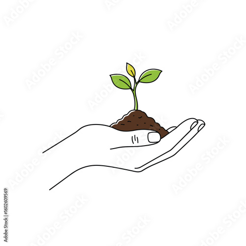 Nurturing a tiny green seedling growing in an open hand concept of growth and development