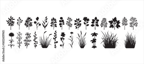 An extensive collection of vector silhouettes of diverse plants

