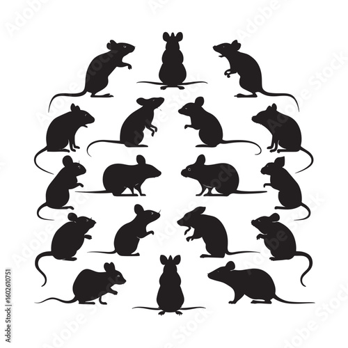 Rat Silhouettes.