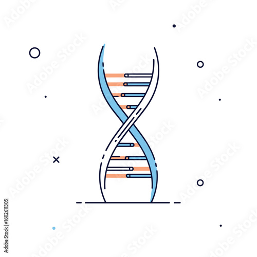 Understanding the fundamentals of dna structure and function in genetics research