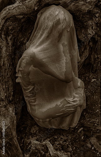 Woman in fetal position among tree roots  symbolizing connection with nature and rebirth.