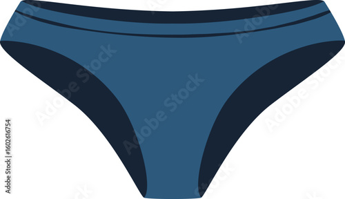Classic dark blue women s briefs, featuring a smooth and seamless design, isolated against a clean white background, highlighting elegance and comfort in intimate apparel and fashion