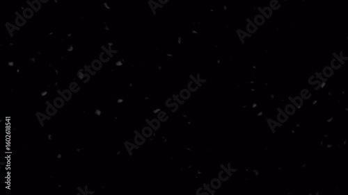 Falling Snowflakes Overlay: Gentle Winter Snowfall on Black Background