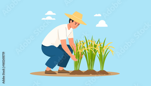 Young farmer in a straw hat crouching to inspect ripe yellow rice stalks.