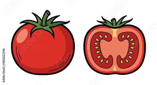 Vector illustration of a ripe red tomato, showing the whole fruit and a sliced half with its internal cross-section.