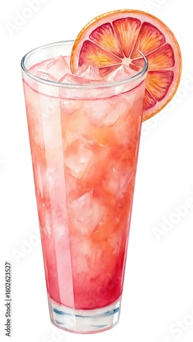 Refreshing watercolor illustration of a blood orange cocktail with ice and garnish
