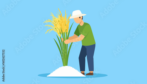 Illustration of a farmer in a white hat harvesting golden rice stalks growing from a pile of white rice.