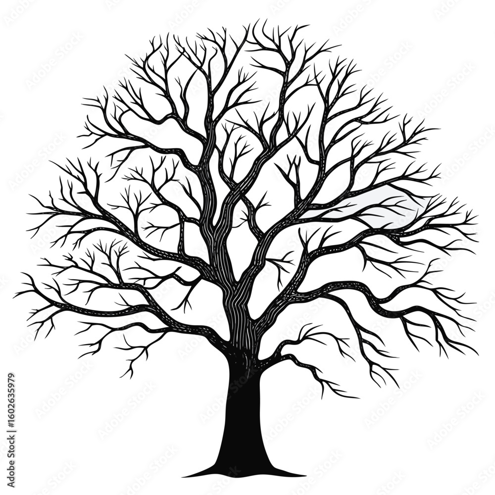 Obraz premium Black Silhouette of a Bare Deciduous Tree on White Background