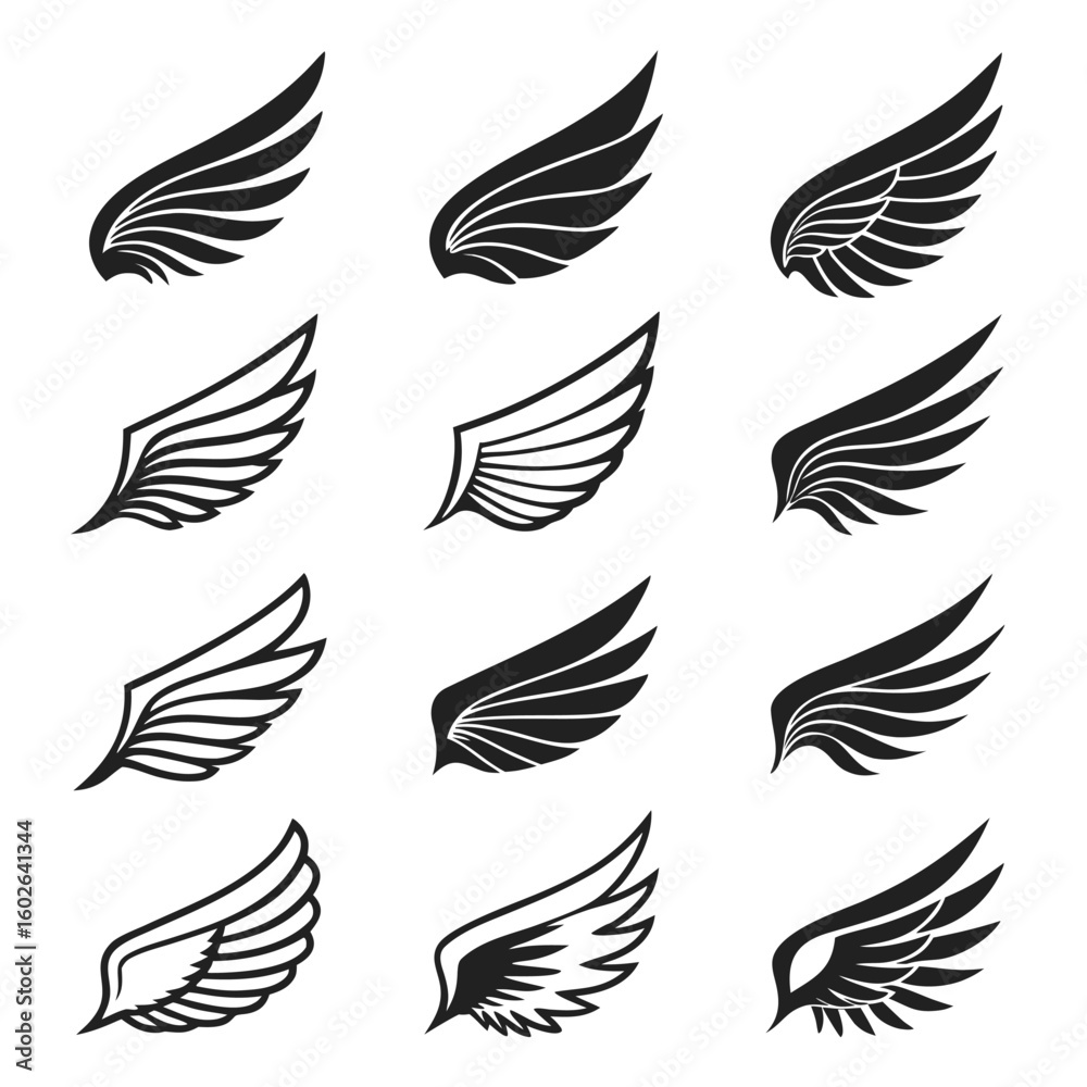 Obraz premium Twelve Stylized Minimalist Black and White Wings Set