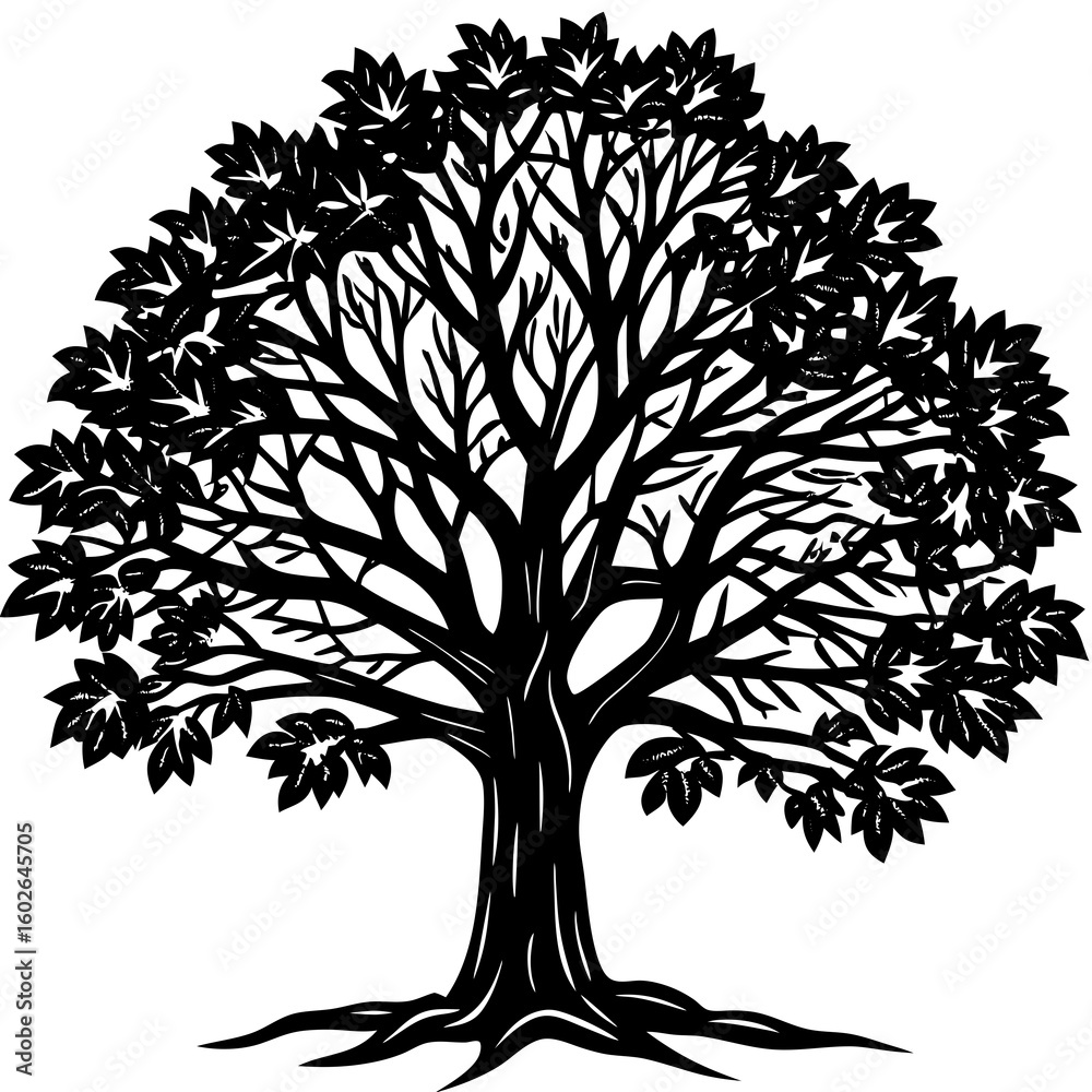 Obraz premium Bare Tree Shadow Art