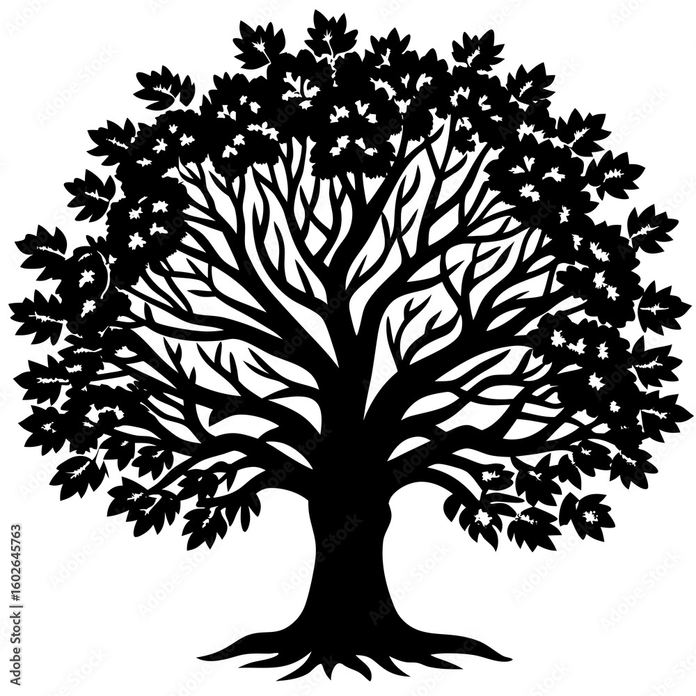 Fototapeta premium Bare Tree Shadow Art