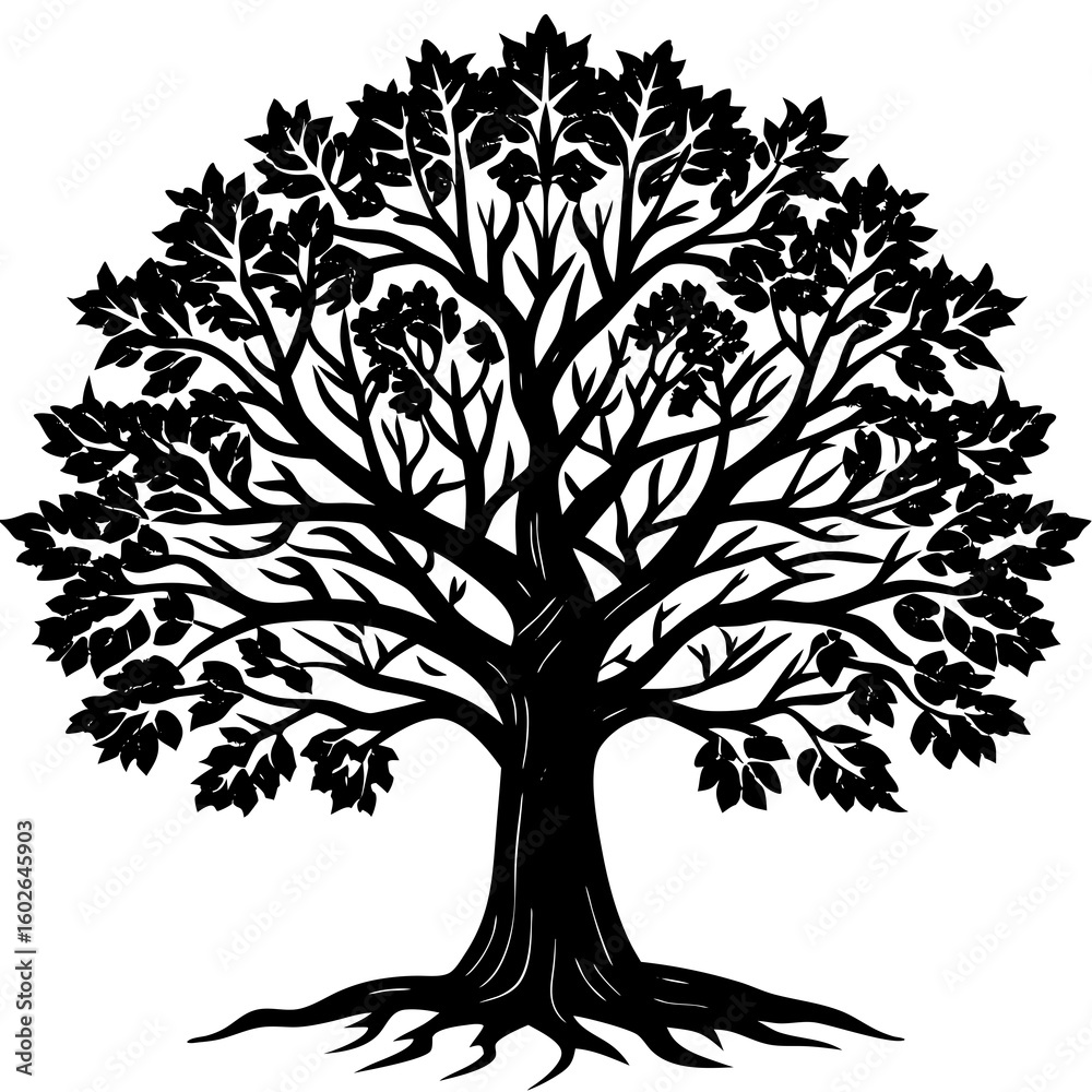 Obraz premium Bare Tree Shadow Art