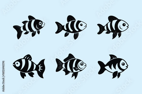 Panda Cory, aquarium fish vector art illustration