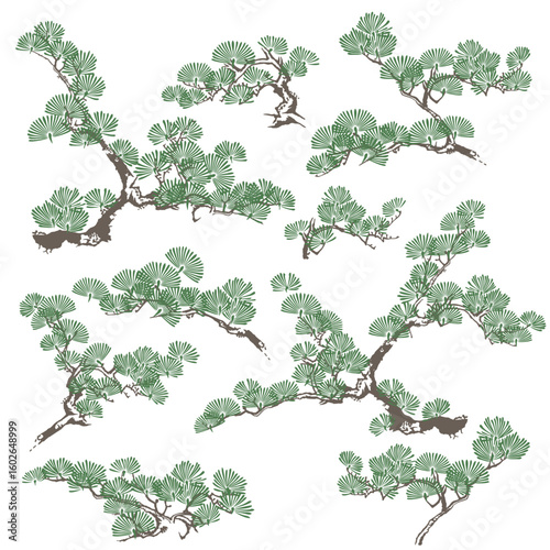 Pine tree drawn using Japanese painting techniques,