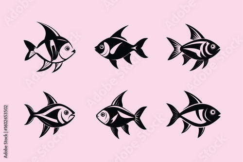 Phantom Tetra, aquarium fish vector art illustration