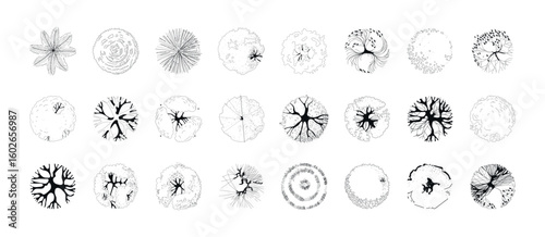 Tree top view line illustrations, perfect treetop for architectural plans, landscape design, and urban planning projects. Collection of trees for master plans and vertical layout