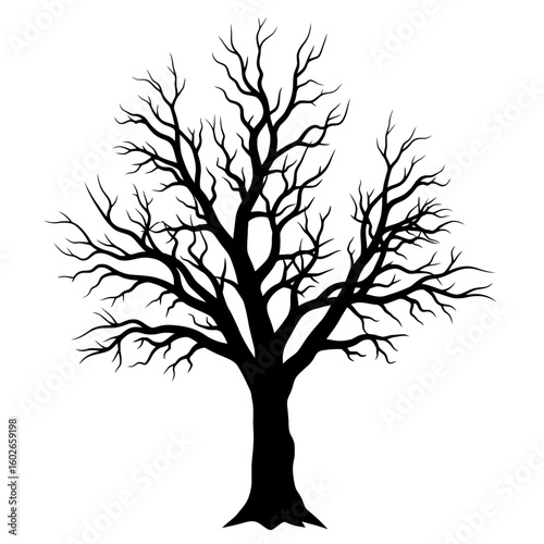 Silhouette of a bare tree with intricate branches against a white background.