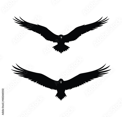 Flying Bird Silhouette Set, Spread Wings Eagle or Hawk Vector Illustration