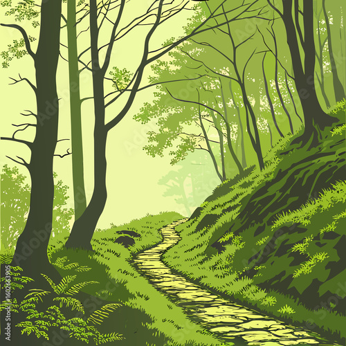 trees in the forest