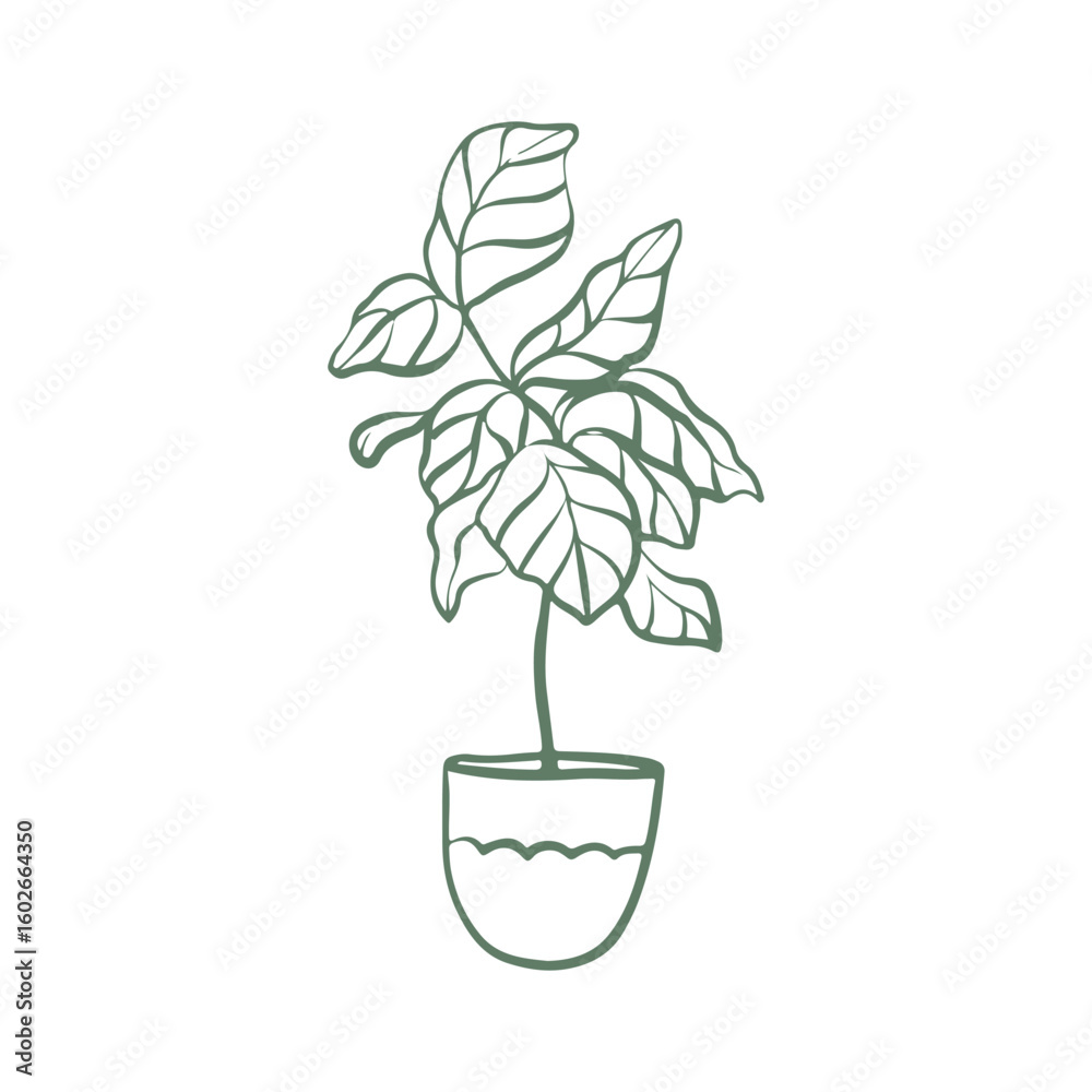 Fototapeta premium Floor indoor flower in a pot. Illustration of a house plant in doodle style. Vector icon in green color