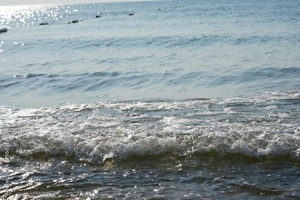 Fototapeta premium Calm sea waves rolling onto the shore under soft morning light. Gentle ocean surface with small ripples and a peaceful horizon Serene coastal scene perfect for themes of nature, relaxation, and summer