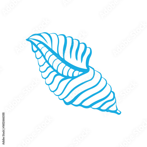 Outline illustration of a seashell. Hand drawn doodle style seashell illustration. Linear icon of a seashell in blue color. Isolated on white background.