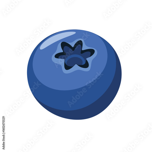 Single Blue Berry With Star Shaped Indentation blueberry