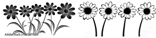 In a modern style, an isolated daisy, or chamomile, is shown, with the plant's full name given, and an olive tree in the background, which can be used for texture, wrapper patterns, frames, or