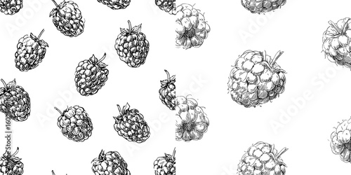The image features a modern drawing of raspberries in a seamless pattern, with a single berry sketched in isolation on a white background