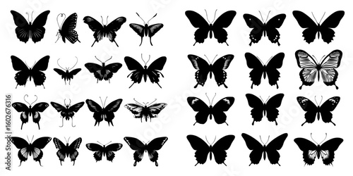 The illustrations feature black pictures of butterflies, highlighting their beautiful and amusing nature as insects