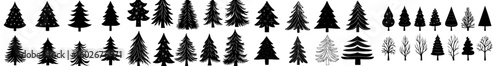 A hand drawn Christmas tree is featured in a set of sketched illustrations of firs