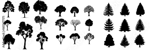 Collection of manually illustrated trees for architects, presented in a contemporary sketch style, as part of an architectural drawing