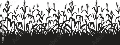 A black corn field. Maize field silhouette design vector illustration