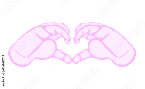 vector illustration of a heart