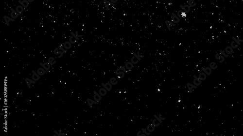 Celestial Cascade: Witness the captivating dance of snowflakes against the deep canvas of a moonless night sky, a minimalist's dreamscape of pure winter beauty.